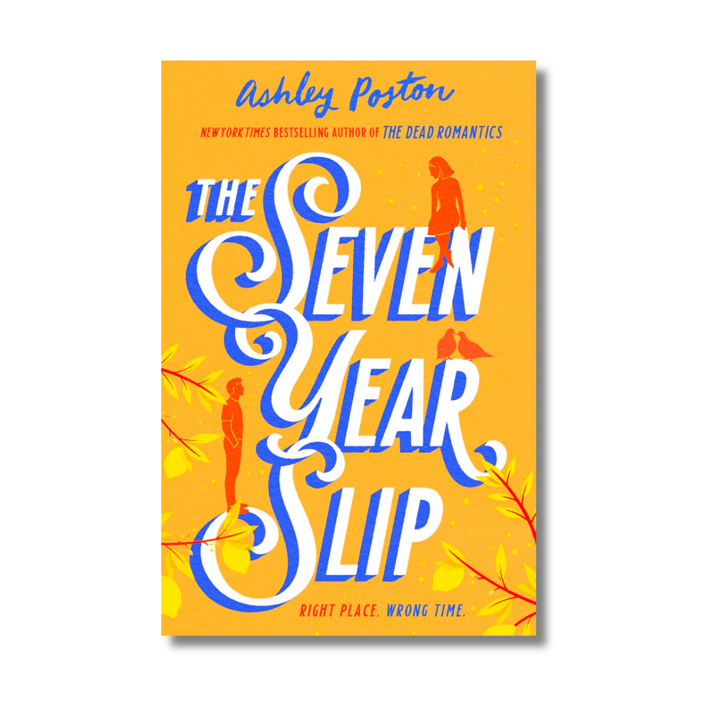 The Seven Year Slip By Ashley Poston (Paperback)